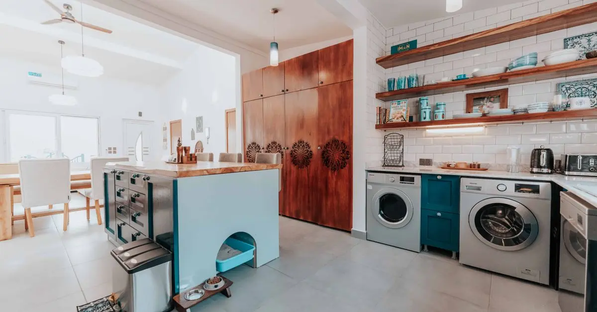 Top Trends in Pet Zone Design for Happy Pets
