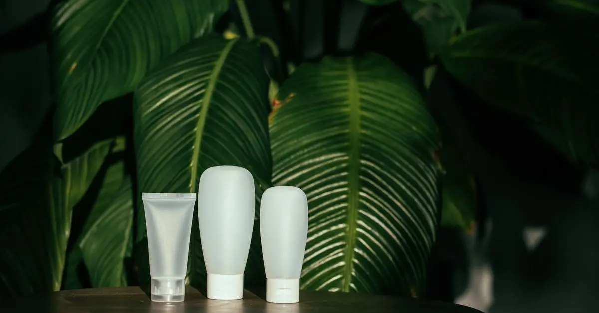 Eco-Friendly Pet Products: A Buyer’s Guide