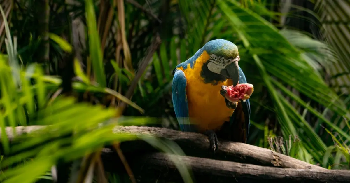 Exploring the World of Exotic Pets
