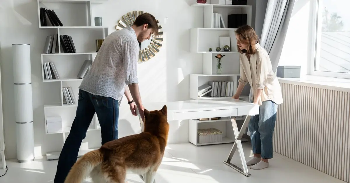 Top 10 Innovative Ideas for Your Pet Zone