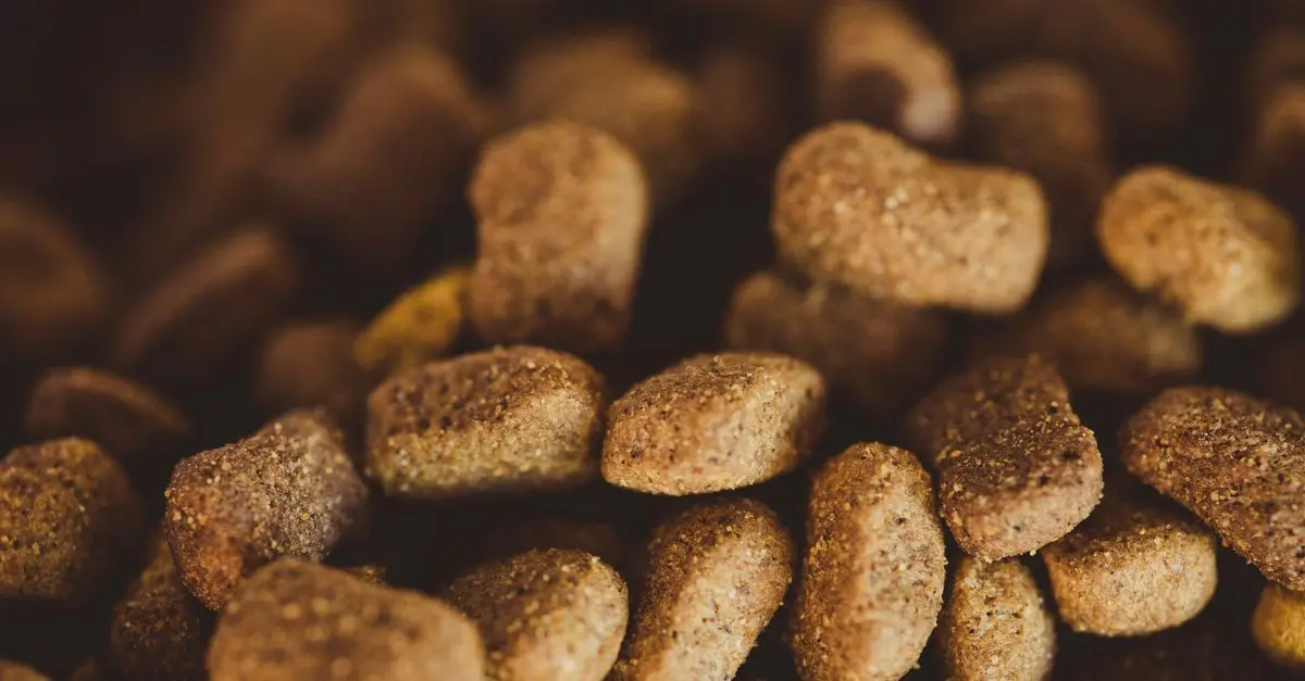 Analyzing the Benefits of Grain-Free Pet Foods