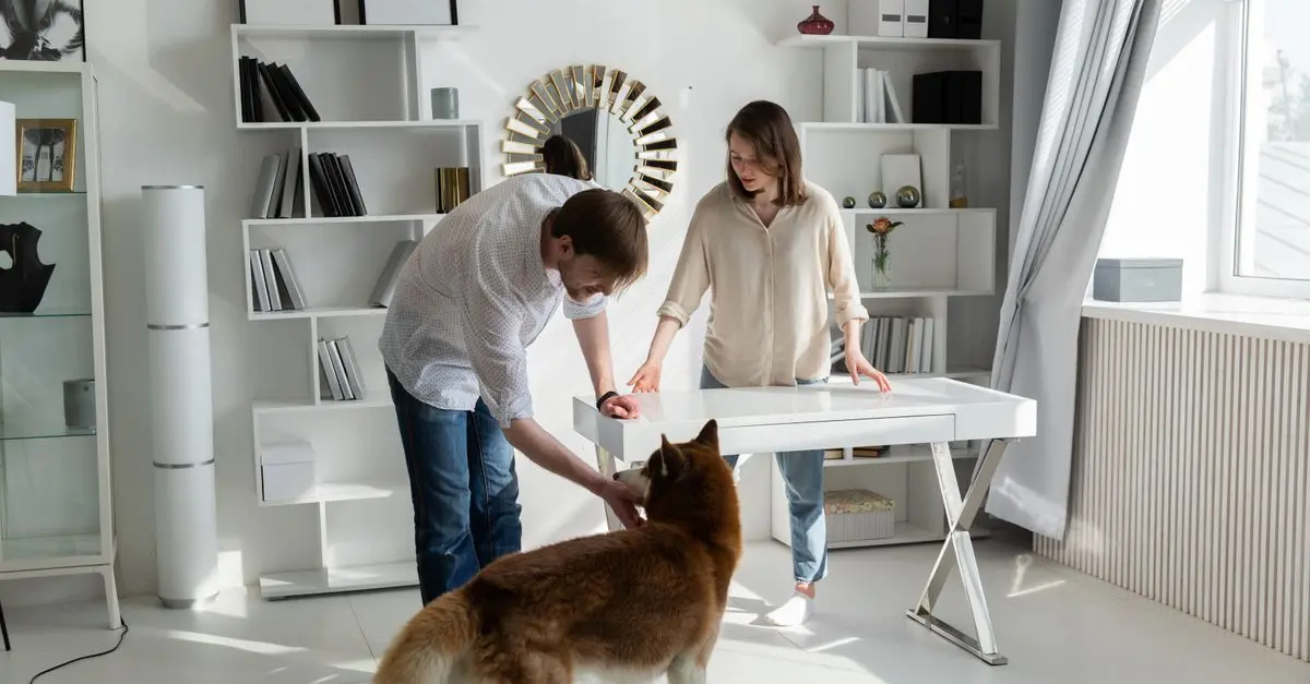 Creative Storage Solutions for Your Pet Zone