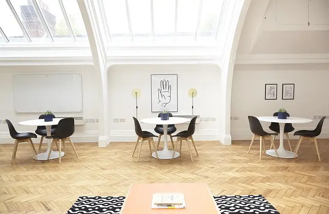 10 Must-Have Features for Your Ideal Pet Zone Design