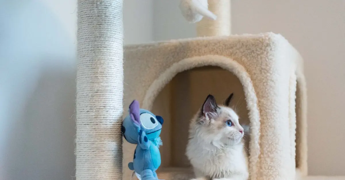 Creating the Ultimate Pet Zone: Tips and Ideas for Pet Owners