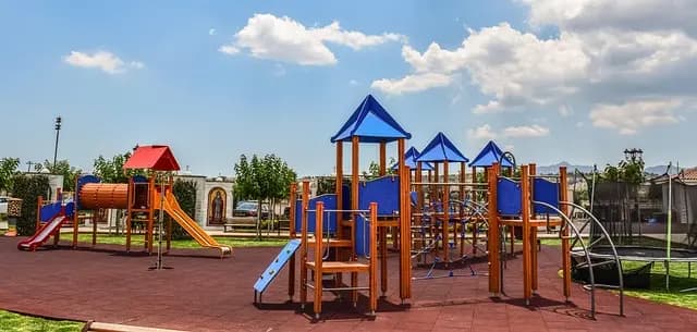 How to Create an Interactive Pet Zone for Maximum Fun