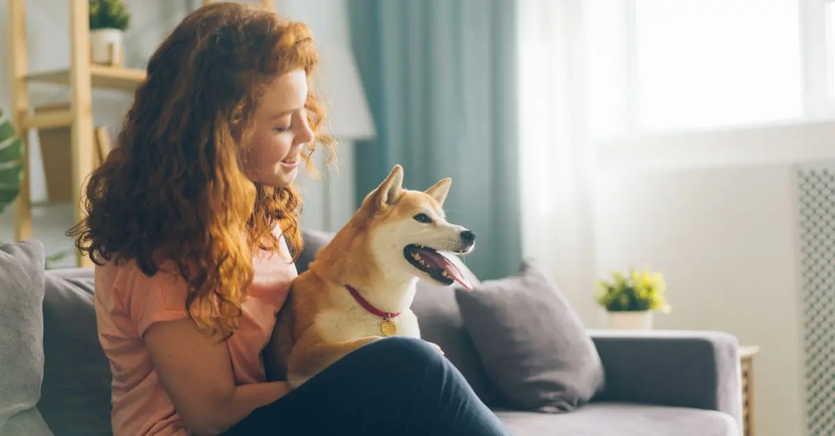 How to Choose the Right Pet for Apartment Living