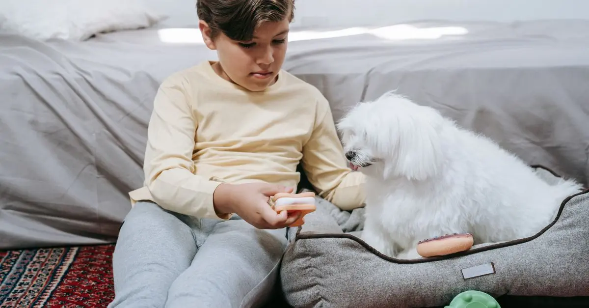 Creating the Ultimate Pet Zone for Your Dogs and Cats