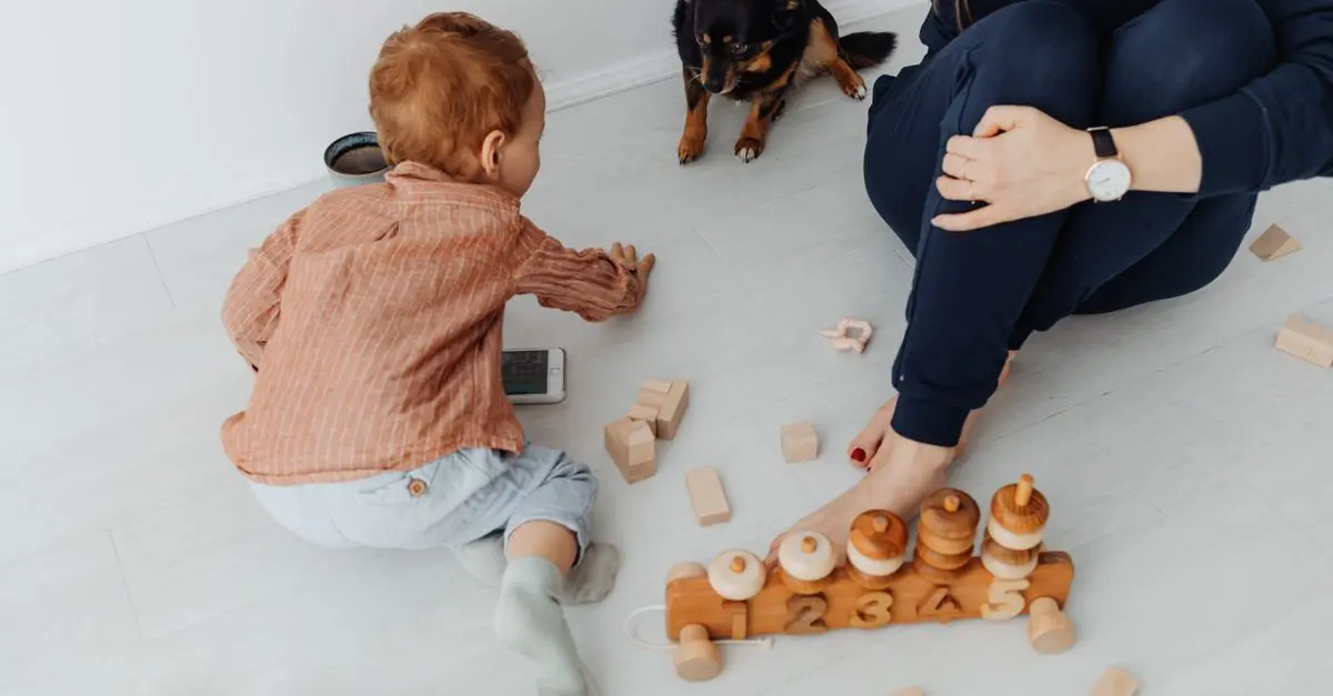 10 Must-Have Features for a Functional Pet Zone