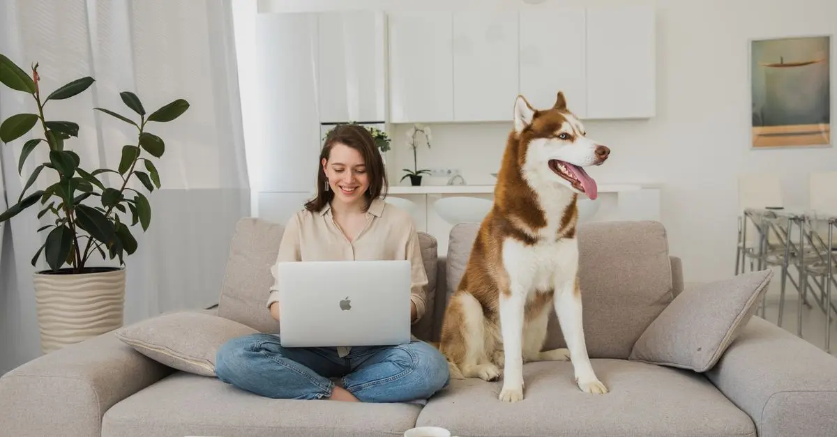 Top 5 Benefits of Having a Dedicated Pet Zone at Home