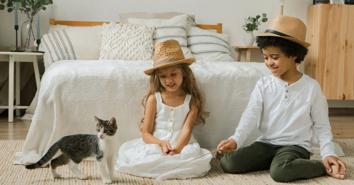 10 Creative Ideas for Designing the Best Pet Zone