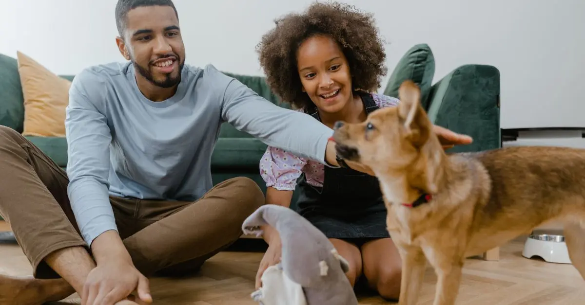 How to Create an Eco-Friendly Pet Zone at Home