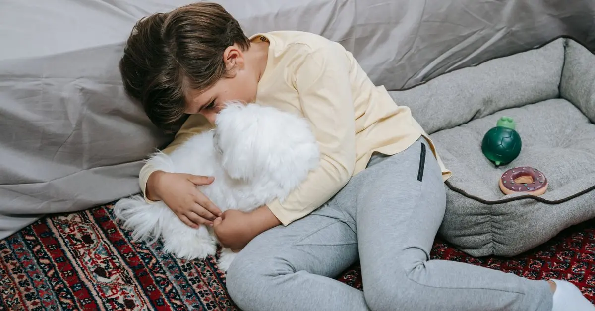 How to Choose the Best Pet Zone Design for Your Home
