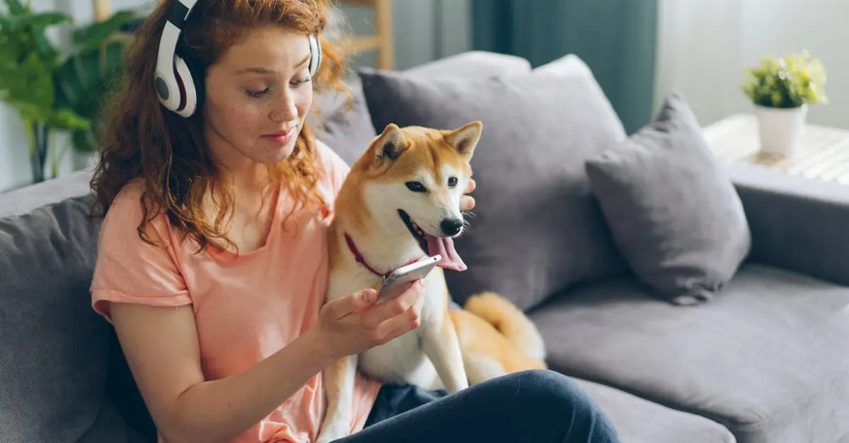 The Impact of Music on Pet Behavior