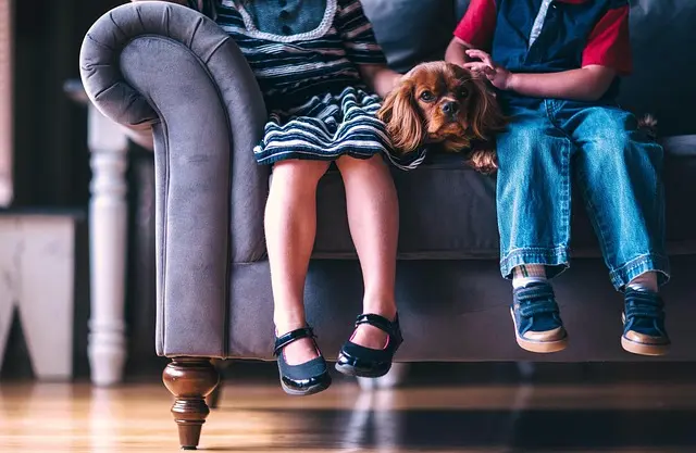 Essential Tips for Creating a Kid-Friendly Pet Zone