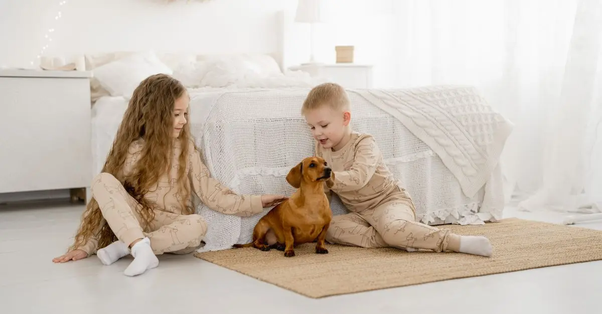 Creating a Safe and Engaging Pet Zone at Home