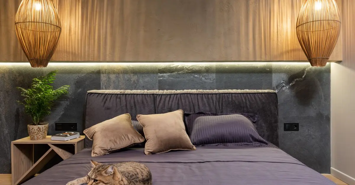 Creating a Zen Pet Zone: Tips for a Calming Space