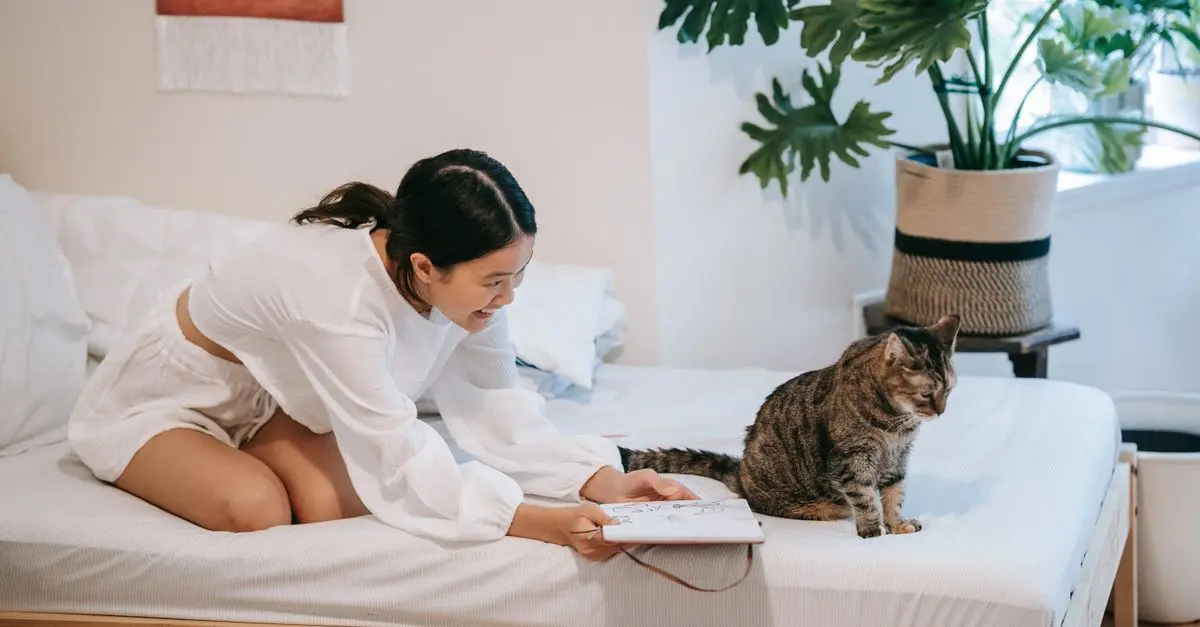 Creating a Stress-Free Pet Zone: Tips for Happy Pets