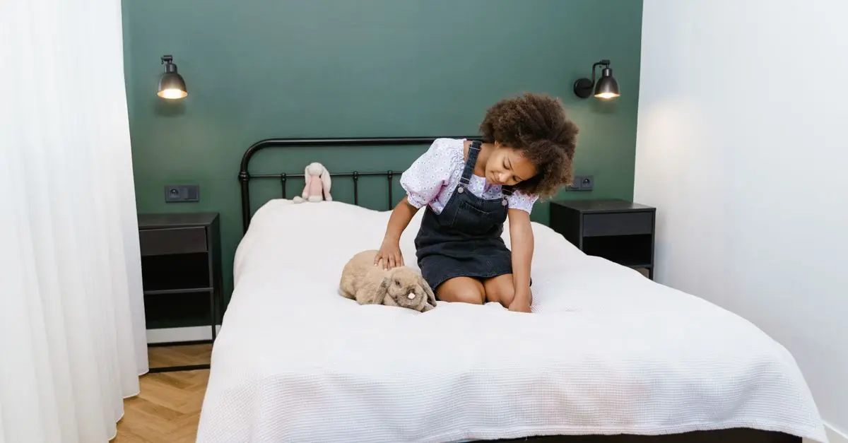 The Best Ways to Create a Safe Pet Zone at Home