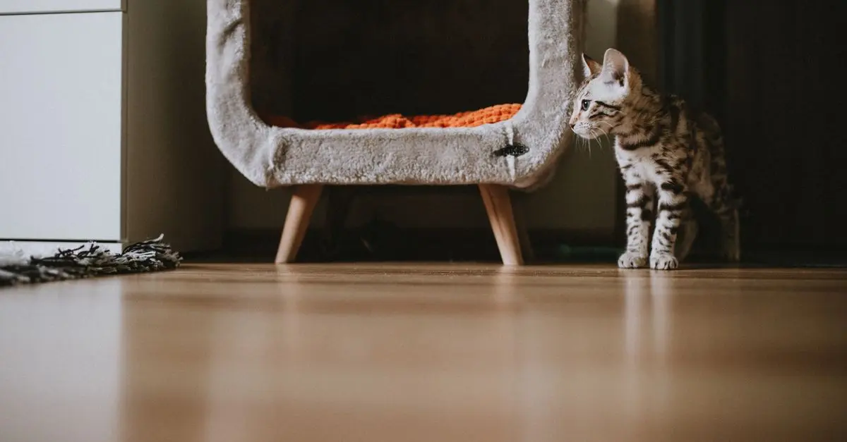 Innovative Pet Zone Design Ideas for Every Home