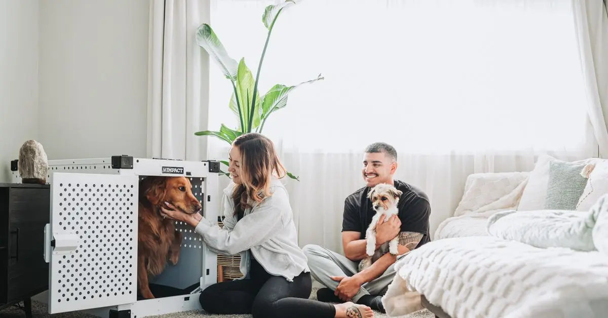 Top 5 Tips for Enhancing Your Pet Zone Experience
