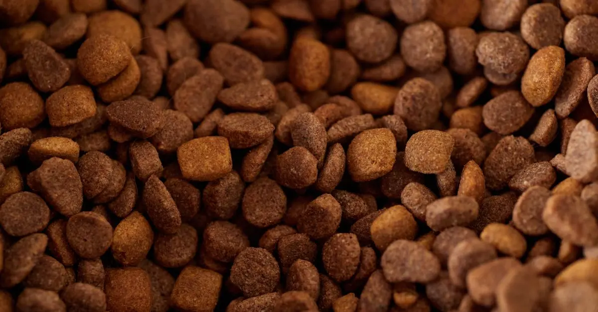 Creating a Balanced Diet for Your Cat