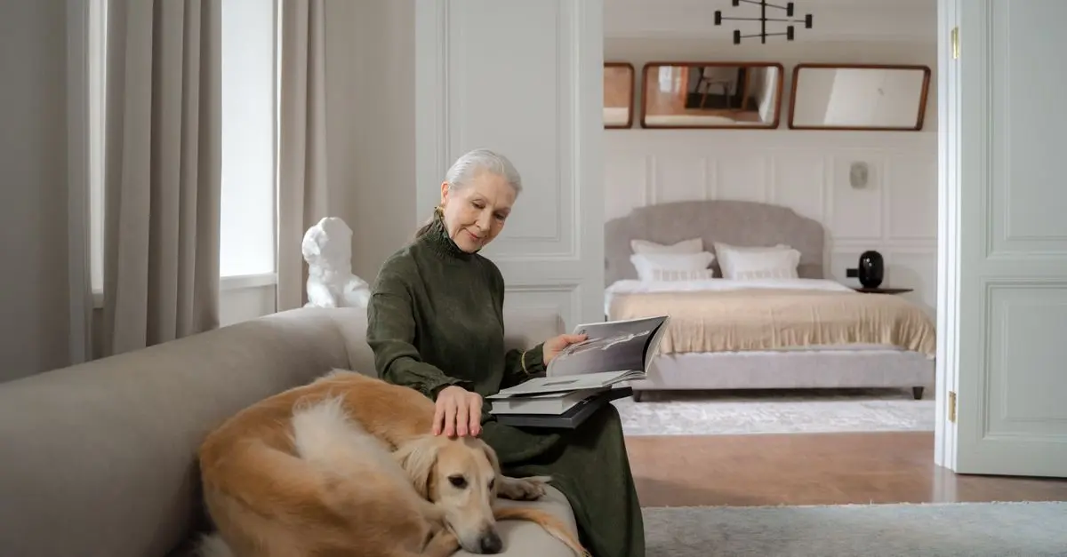 Creating a Pet Zone That Enhances Your Home's Aesthetics