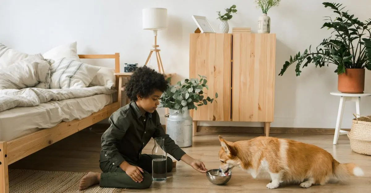 Guide to Introducing a New Pet to Your Home