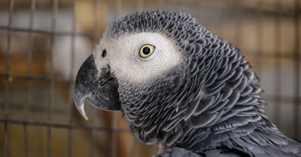 5 Myths About Exotic Pets Debunked