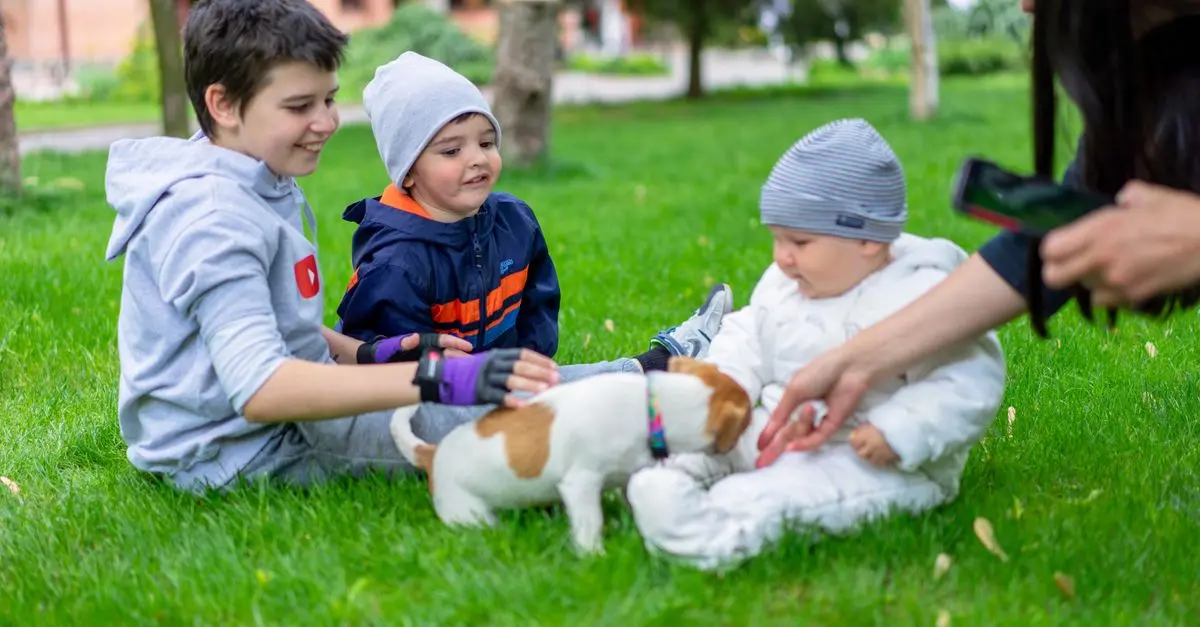 Top Dog Breeds for Families with Kids