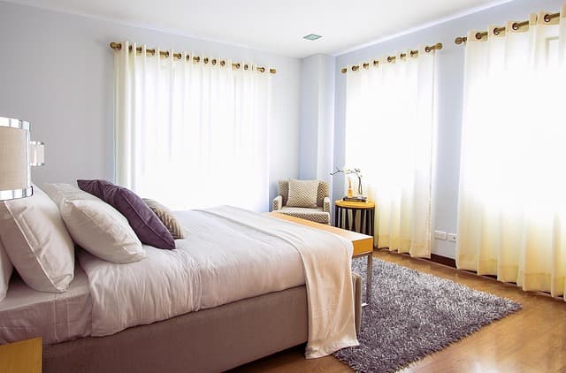 The Benefits of Creating a Designated Pet Zone at Home