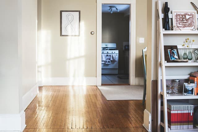 Essential Tips for Creating a Pet Zone for Your Home