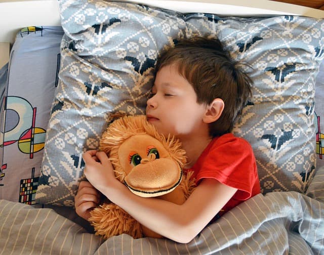 Essential Tips for Choosing the Best Pet Zone Supplies