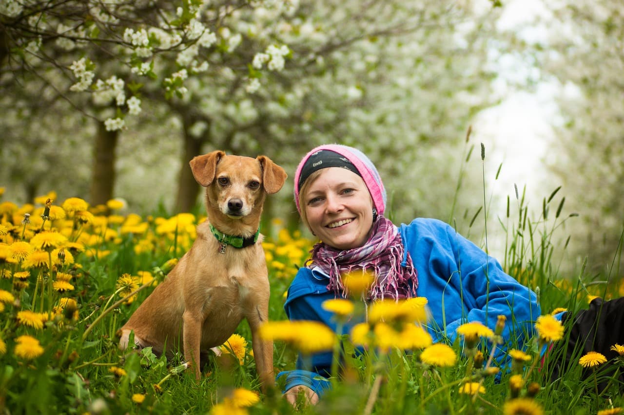 Top 5 Tips for Creating an Engaging Pet Zone